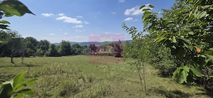 Teren intravilan de vanzare 2500 mp in Banesti - imagine 3