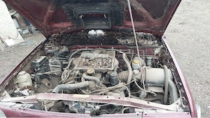 Vand pentru dezmembrare NISSAN TERRANO II - imagine 4