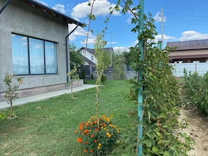 Vând casă P+1E, + 1 lot teren pentru construcție. Total teren 1000 mp.  - imagine 4