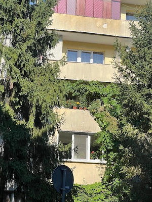 Se vinde apartament 3 camere in Cluj -Napoca , cartier Manastur, bloc caramida cu 4 niveluri, etaj 3 - imagine 8