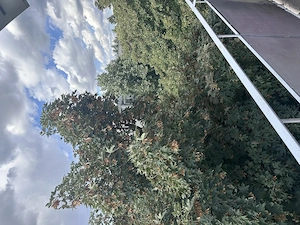 Apartament de vanzare - imagine 6