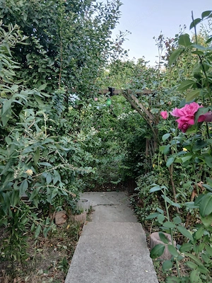 Casa de vanzare in Buda judetul Buzau (teren 1050 mp)  - imagine 10