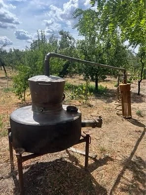 Cazan tuica 250l 