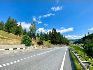 Teren intravilan in valea putnei, bucovina - acces direct din dn17