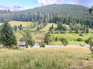 Teren intravilan in Valea Putnei, Bucovina - acces direct din DN17 - imagine 3