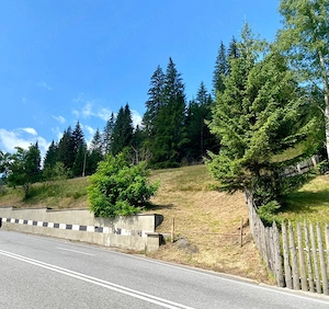 Teren intravilan in Valea Putnei, Bucovina - acces direct din DN17 - imagine 2