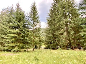 Teren intravilan in Valea Putnei, Bucovina - acces direct din DN17 - imagine 5