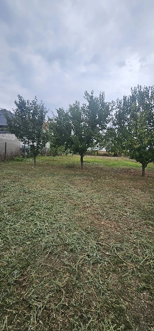 Proprietar - Casa si teren - Valu lui Traian partea dreapta - imagine 7