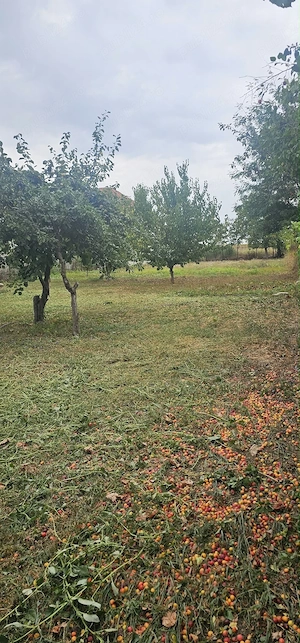 Proprietar - Casa si teren - Valu lui Traian partea dreapta - imagine 8