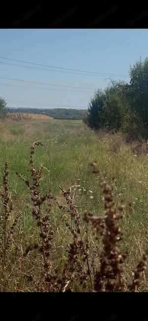 Teren intravilan + extravilan Com.Tantareni, Jud.Gorj - imagine 2