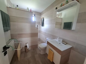 Loc. Chechis   casa noua dispusa pe parter, s.u. 96 mp, finisata, teren 12 ari - imagine 12