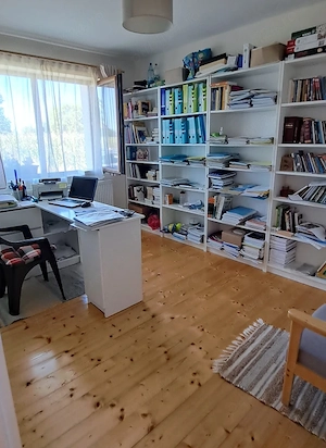 Loc. Chechis   casa noua dispusa pe parter, s.u. 96 mp, finisata, teren 12 ari - imagine 10