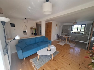 Loc. Chechis   casa noua dispusa pe parter, s.u. 96 mp, finisata, teren 12 ari - imagine 2