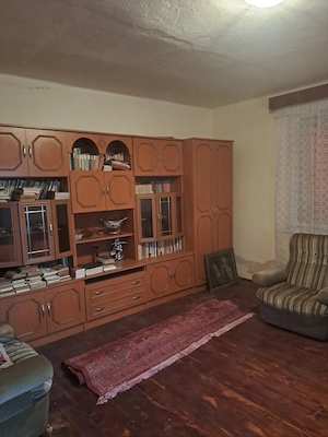 Casa de vanzare - loc. Cenad - imagine 10