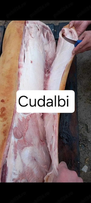 Porci De Carne Rasa Pic 100-150 kg  - imagine 4