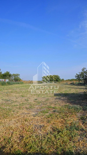 Teren intravilan de vanzare la Foeni, 13200 mp, front 24 m, Timis - imagine 6