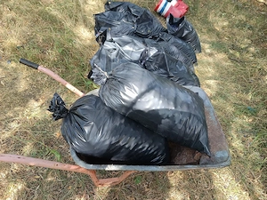 prune roșii 
