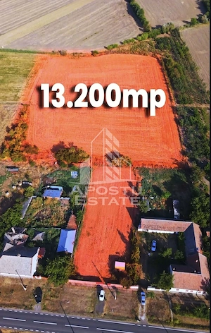 Teren intravilan de vanzare la Foeni, 13200 mp, front 24 m, Timis - imagine 3