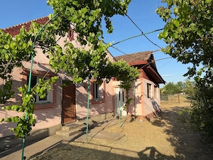 Casa cu gospodarie la Iecea Mare