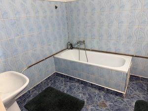 Casa cu gospodarie la Iecea Mare - imagine 5