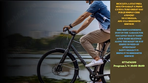 Ofer servicii de restaurare si reparare biciclete!
