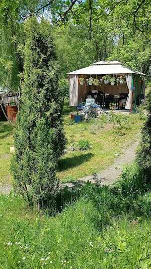Vand casa in Provita de Jos - imagine 5
