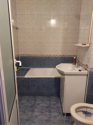 Inchiriez apartament cu o camera, Zona capat la 1 - imagine 4
