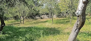 Casa de vânzare Homorod Hunedoara  - imagine 2