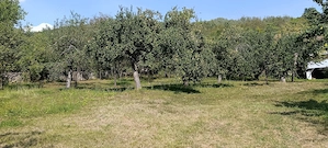 Casa de vânzare Homorod Hunedoara  - imagine 8