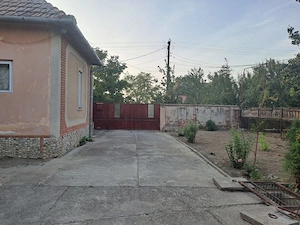 Casa de vanzare - loc. Cenad - imagine 7