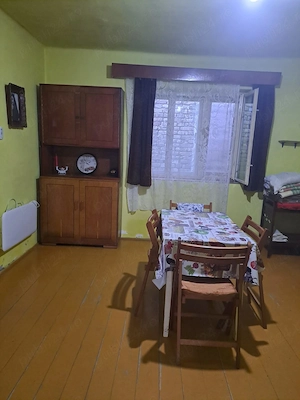 Casa de vanzare - loc. Cenad - imagine 8