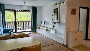 T #226;mpa Gardens Racadau  Apartament  Premium 2 Camere In Zona Nepoluata - imagine 4
