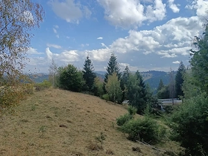 Vând teren cu izvoare la munte