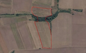 Teren 11 ha   Petrovaselo (Recaș, Timiș), zonă viticolă Recaș, ideal vie + agroturism - imagine 2