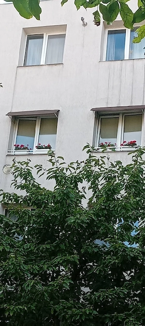 Vand apartament - imagine 7