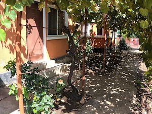 Casă de vânzare în Slobozia, Giurgiu | 1.143 mp teren  5 camere  Curte generoasa - imagine 15