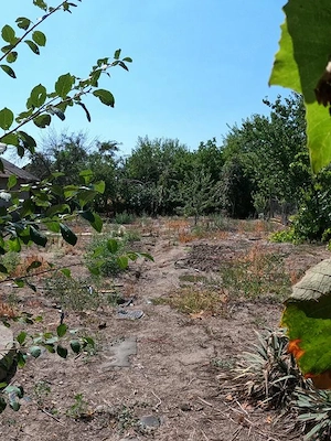 Casă de vânzare în Slobozia, Giurgiu | 1.143 mp teren  5 camere  Curte generoasa - imagine 16