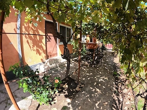 Casă de vânzare în Slobozia, Giurgiu | 1.143 mp teren  5 camere  Curte generoasa - imagine 13