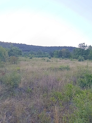 Teren extravilan (front intravilan) 3016 mp | Sebiș, jud. Arad - imagine 2