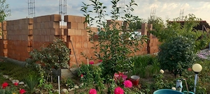 proprietar casa individuala comuna frumusani,sat padurisu - imagine 9