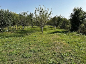 Vând teren extravilan in zona munte Corbisori Arges - imagine 4