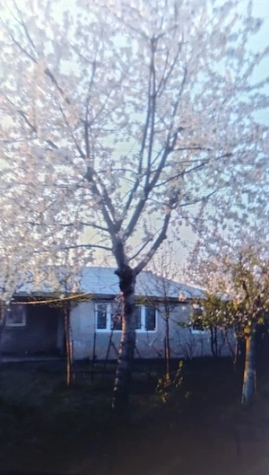 Vând casa în localitatea Valea Ramnicului 