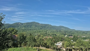 Vând teren extravilan in zona munte Corbisori Arges - imagine 5