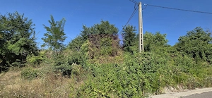 Teren intravilan 4.029 mp de vanzare, zona Crama Seciu - imagine 12