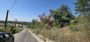 Teren intravilan 4.029 mp de vanzare, zona Crama Seciu - imagine 8