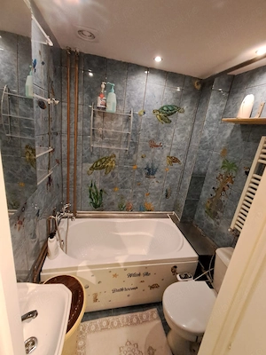 Închiriez apartament  2 camere piata Doina, Sagului - imagine 5