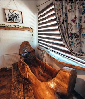 Casa de vacanta Porumbacu de sus, Sibiu  - imagine 9