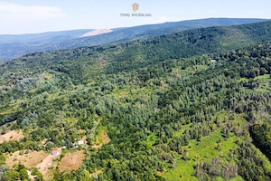 Teren 4.173 mp, front 60 m – Văliug, aproape de Lacul Gozna - imagine 11