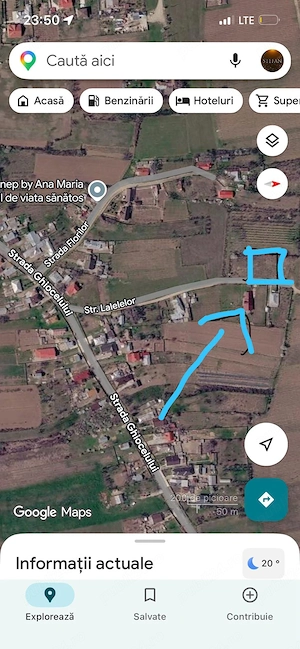 Teren intravilan 964 mp, urechești   strada lalelelor | utilități la poarta - imagine 2