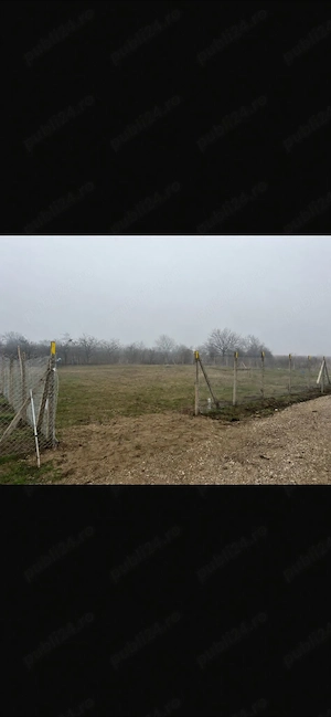 Teren intravilan 964 mp, urechești   strada lalelelor | utilități la poarta - imagine 3